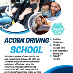 automatic driving instructor automatic driving lessons automatic driving school female instructor Blackburn Darwen Accrington